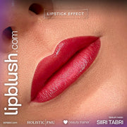 Powder brows + Lips + Eyeliner koulutus (suomeksi)