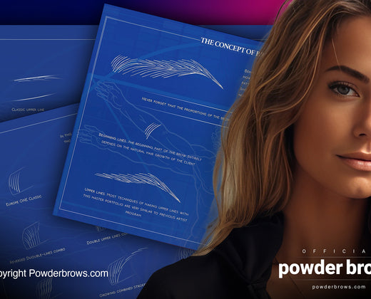 Parts of the brow pattern (microblading, hairstrokes)